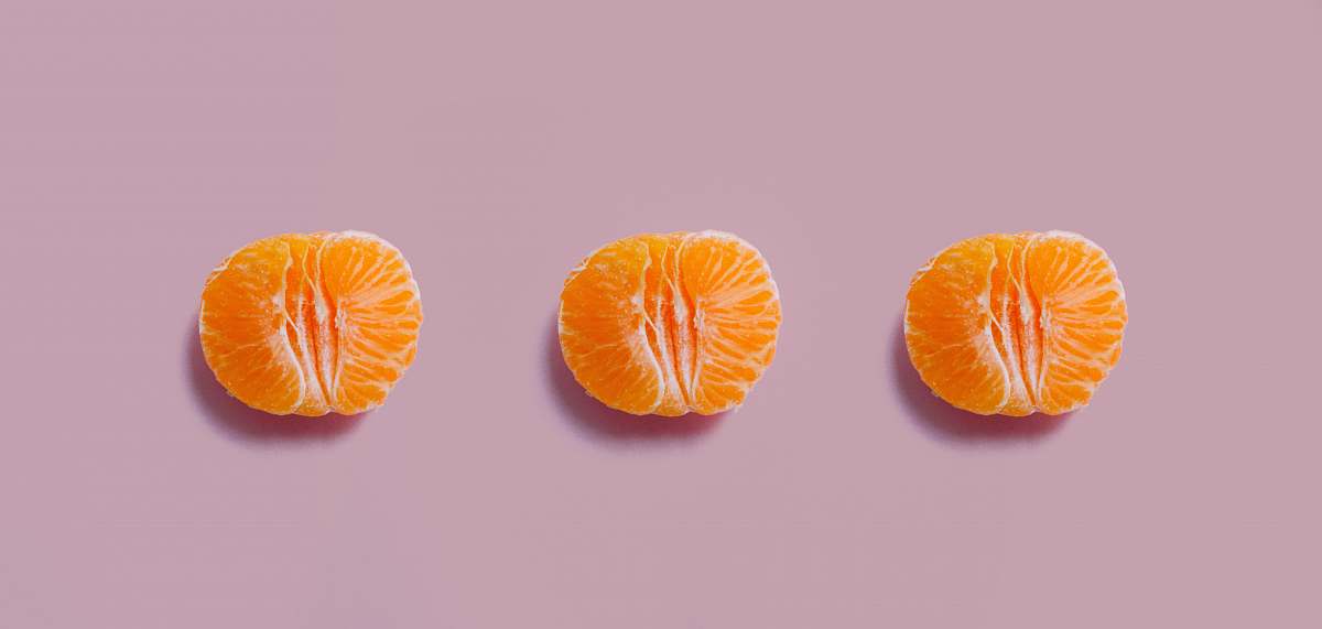 citrus fruit orange fruit plant